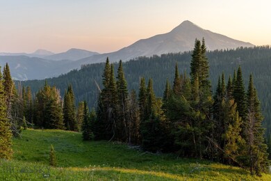 lots of usable acreage and open meadows