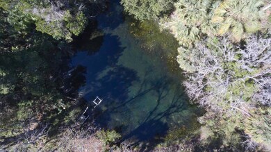 Aerial Spring 1