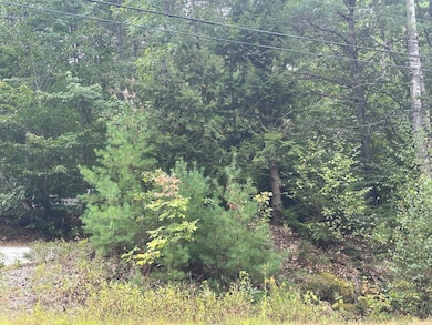 40, 39-1 Gebung Rd, Lyman, ME 04002 - photo 7