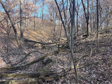 51500 River Rd, Milan, MO 63556 - photo 7