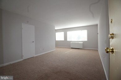 3601 5th St S unit 501, Arlington, VA 22204 - photo 3