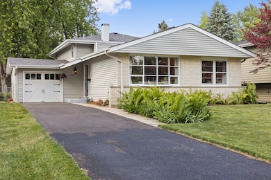 1019 E Elm St, Wheaton, IL 60189 - photo 6