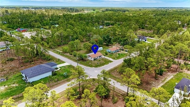 Drone / aerial view of a heavily wooded area