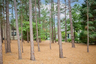 24 Juniper Creek Blvd-73