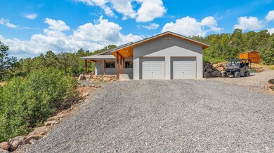 19701 San Juan Vista Rd, Cedaredge, CO 81413 - photo 3