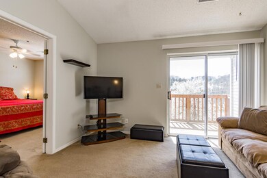 250 Berry Dr 4-12 Branson MO 65616 (6)