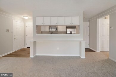 3327 Katewood Ct unit 1, Baltimore, MD 21209 - photo 7