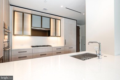 Amaris at The Wharf unit 303, Washington, DC 20024 - photo 4