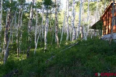 0 Roaring Judy Ranch Rd unit 5305, Crested Butte, CO 81224 - photo 3
