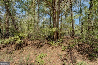 0 Hodges Farm Rd unit 10621775, Mansfield, GA 30055 - photo 2