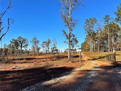 0 County Road 222 unit 177739, Lanett, AL 36863 - photo 2