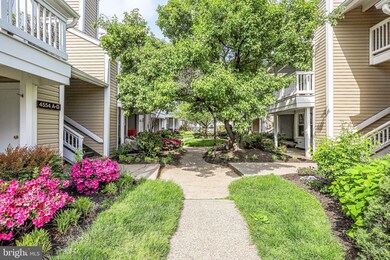 4554 28th Rd S unit D, Arlington, VA 22206 - photo 4