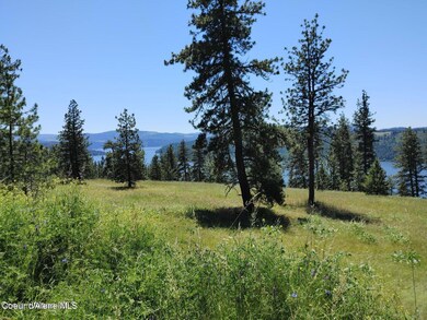 146399 E Falcon Crest Rd, Harrison, ID 83833 - photo 5