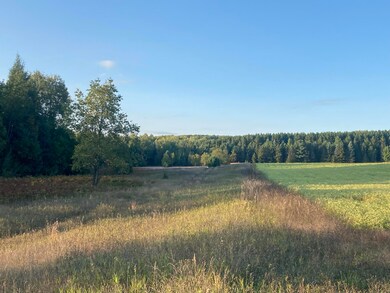 4740 Secord Rd, Wolverine, MI 49799 - photo 5