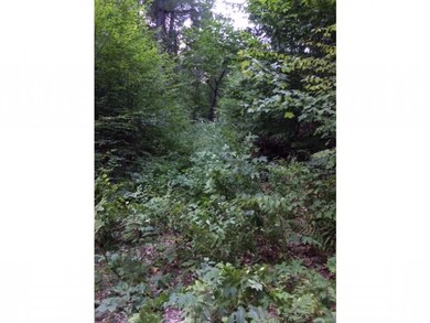 9 Upper Beecham Hill Rd, Ossipee, NH 03864 - photo 3