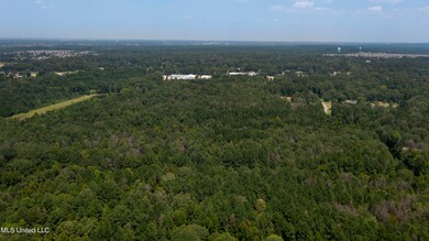 Jamison Ct-23 Acres-5