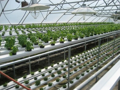 29822 68th Ave NW, Stanwood, WA 98292 - photo 2