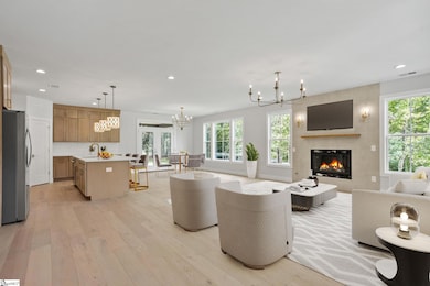 3 Birch Tree Rd, Greer, SC 29651 - photo 3