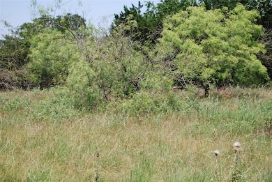 37069 Woodacre Loop, Whitney, TX 76692 - photo 2