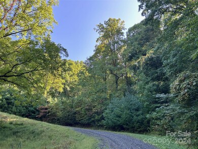 0 Red Wolf Run unit CAR4186741, Mars Hill, NC 28754 - photo 3