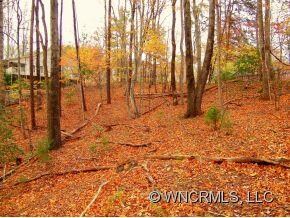 640 Whitney Blvd, Lake Lure, NC 28746 - photo 7