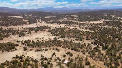 Dove Valley Rd, Pie Town, NM 87827 - photo 7