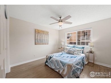 Primary bedroom - east facing window welcomes the morning sun