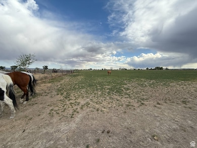 View of yard featuring a rural view
