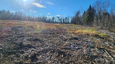 Crystal Rd, Crystal, ME 04747 - photo 7