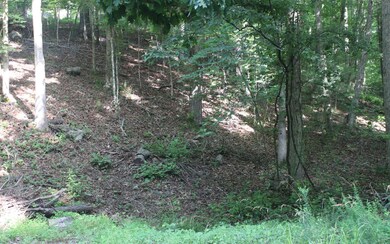 Additional View