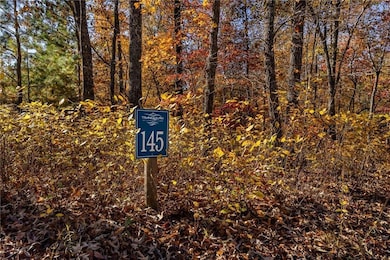 Lot145 Foxglove Trail, Ellijay, GA 30540 - photo 4