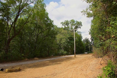 914 Park Swain Rd, Grand Junction, TN 38039 - photo 5