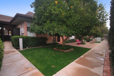 Rear Yard