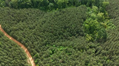 0 0 Cr 323 (29 Acres) unit 25-2233, Iuka, MS 38852 - photo 3