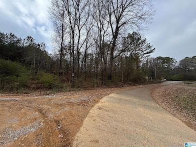 0 Winslow Ave unit 21438336, Anniston, AL 36206 - photo 2