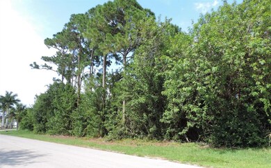 2367 SW Ludlow St, Port Saint Lucie, FL 34953 - photo 3