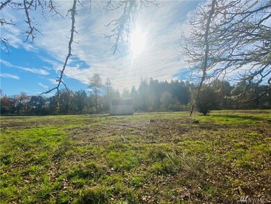 150 Howe Rd, Toledo, WA 98591 - photo 6