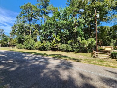 LOT 108 Sundew Ct, Magnolia, TX 77355 - photo 4