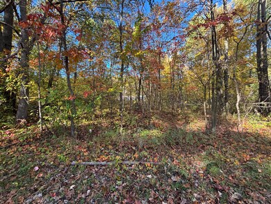 V L 1 47a North Tallman Lake Rd, Fountain, MI 49410 - photo 6