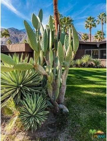 1829 Navajo Cir, Palm Springs, CA 92264 - photo 6