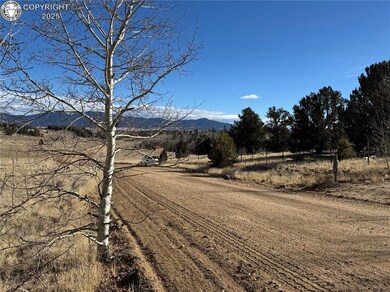 381 Remington Rd, Jefferson, CO 80456 - photo 4