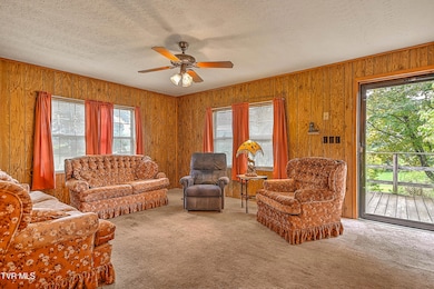 10103 Hayters Gap Rd, Abingdon, VA 24210 - photo 6