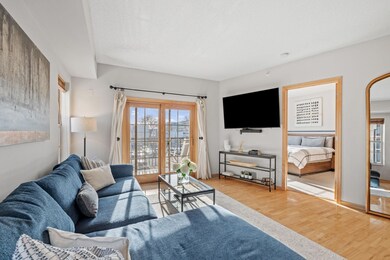 750 Mainstreet unit 202, Hopkins, MN 55343 - photo 5