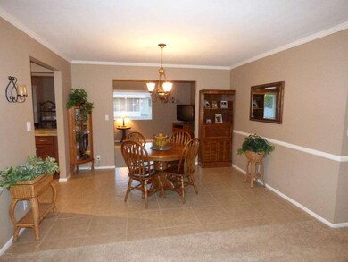 View from Living Room