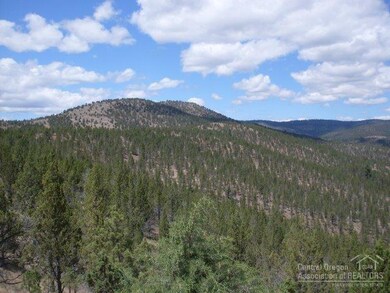 0 Shop Gulch unit 201804724, Mount Vernon, OR 97865 - photo 6