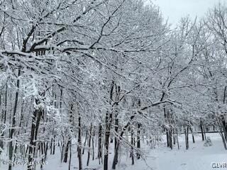 0 Deerfoot & Pine Tree Rd unit 751325, Penn Forest Township, PA 18210 - photo 4