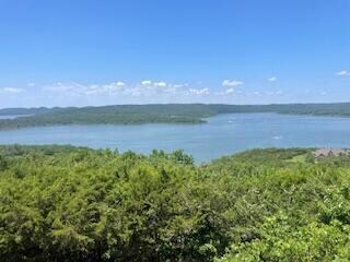 130 Curtis Ln, Kimberling City, MO 65686 - photo 6