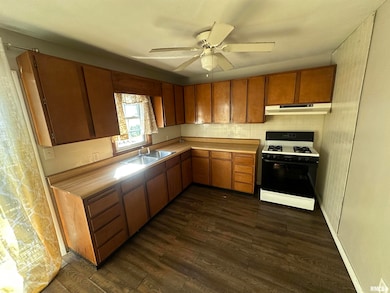 1030 W Berrien St, Galesburg, IL 61401 - photo 5