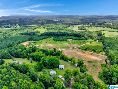 22 Blackberry Ln, Remlap, AL 35133 - photo 4