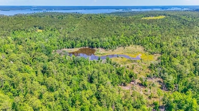 Dell Rd, Bainbridge, GA 39819 - photo 7